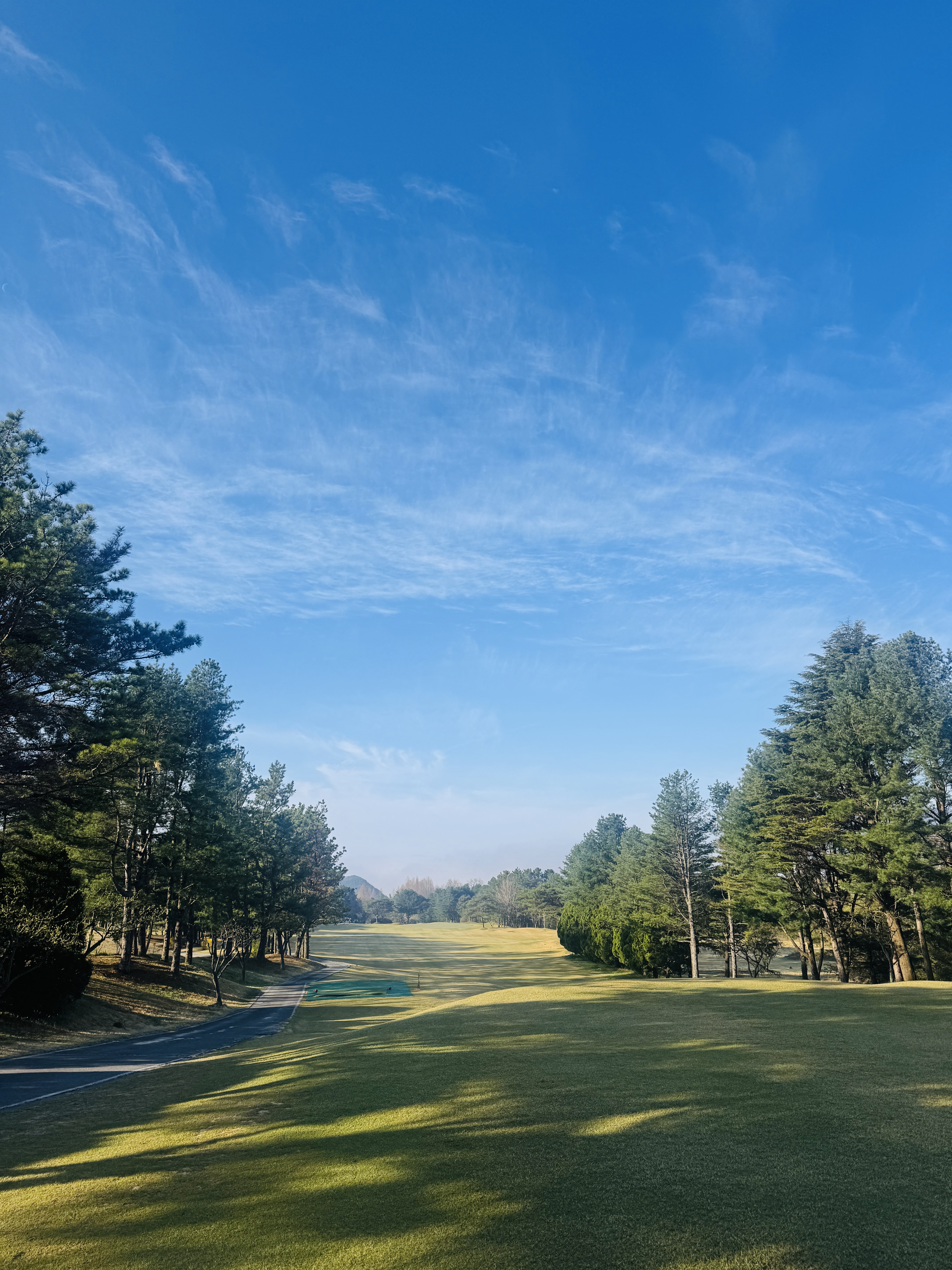 벚꽃 절정! 봄 라운딩의 정점 — T3 골프모임 4월 나들이 대표 이미지